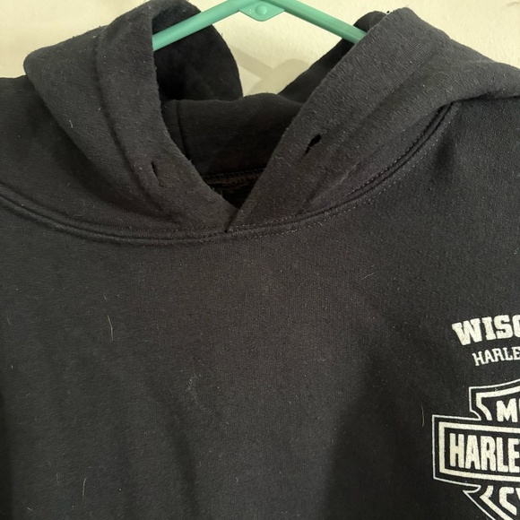 Harley-Davidson Men's Lightning Crest Pullover Hooded Sweatshirt - Picture 8 of 10